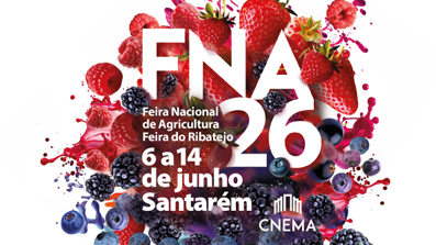 FNA26_